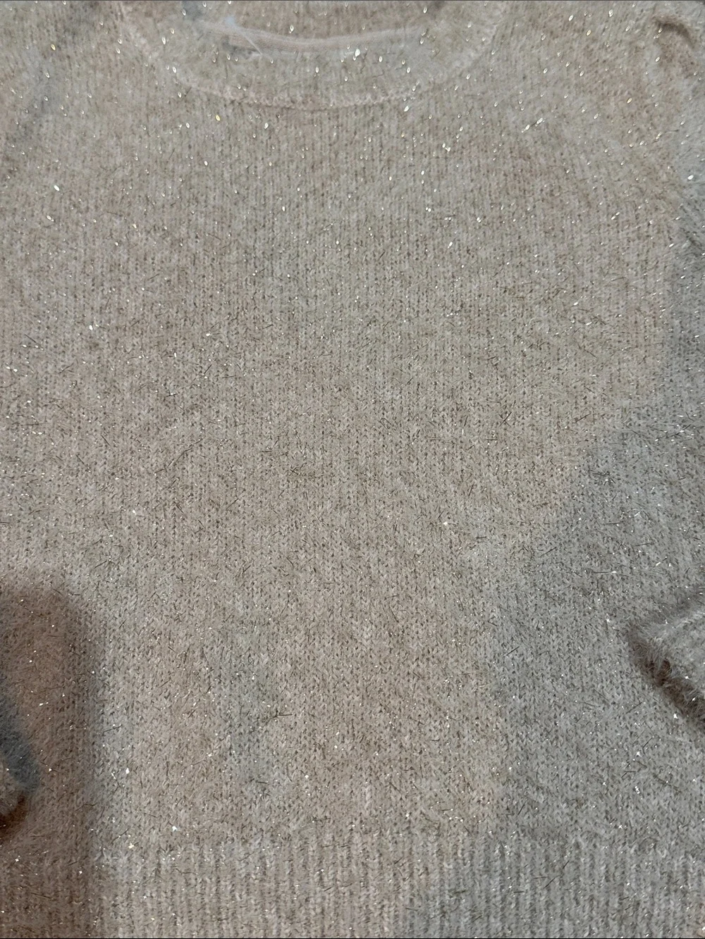 GAP Sparkle Crewneck Sweater in Light Beige NEW (S 6-7)